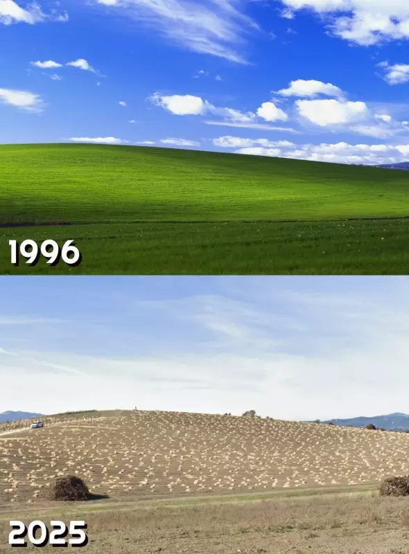 Это интересно!