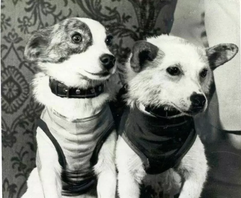 Это интересно!