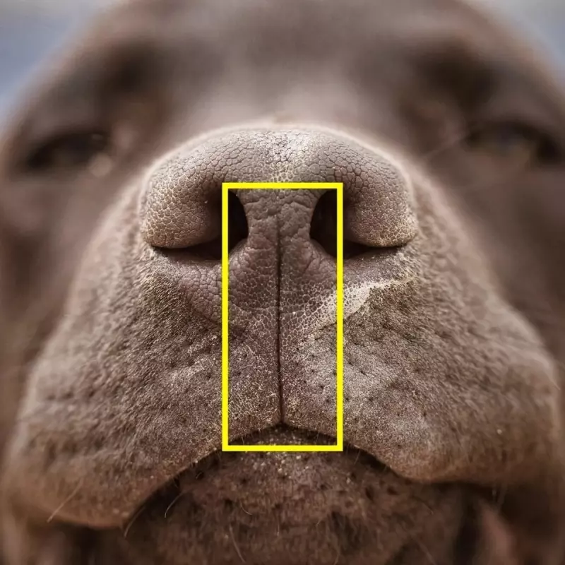 Это интересно!