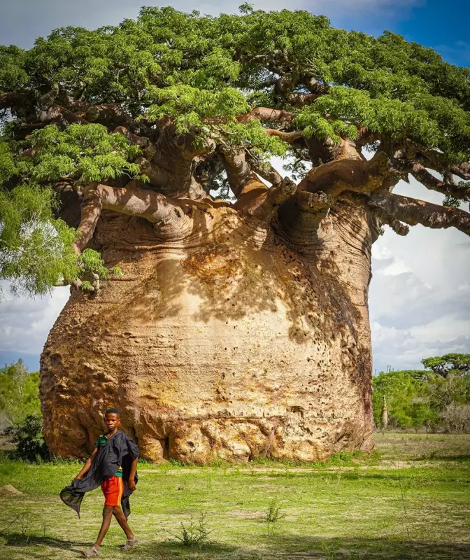 Это интересно!