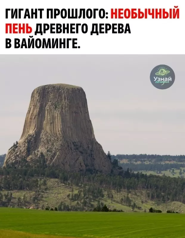 Это интересно!