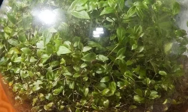 Это интересно!