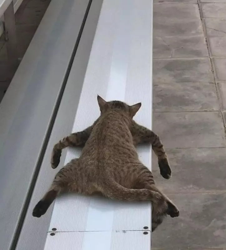 Это интересно!