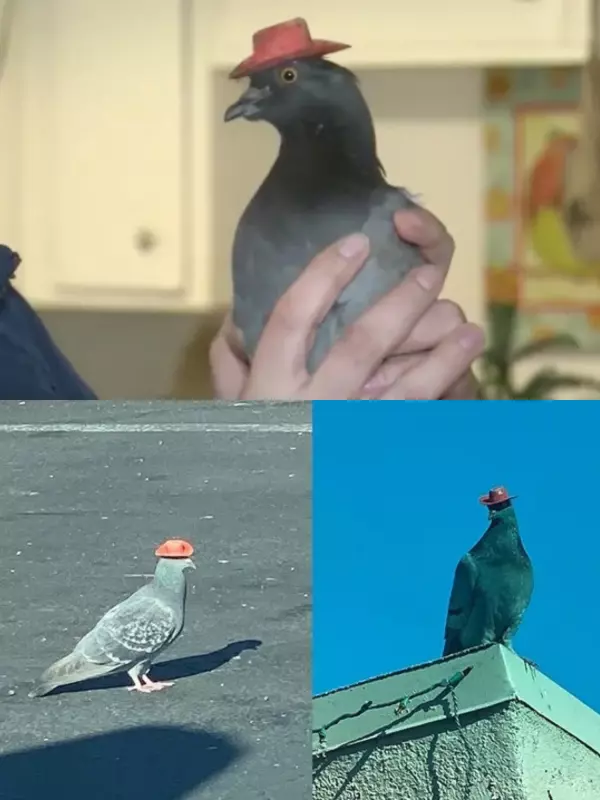 Это интересно!