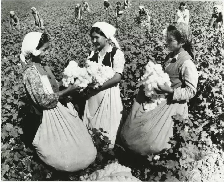 Пусть и не смешно