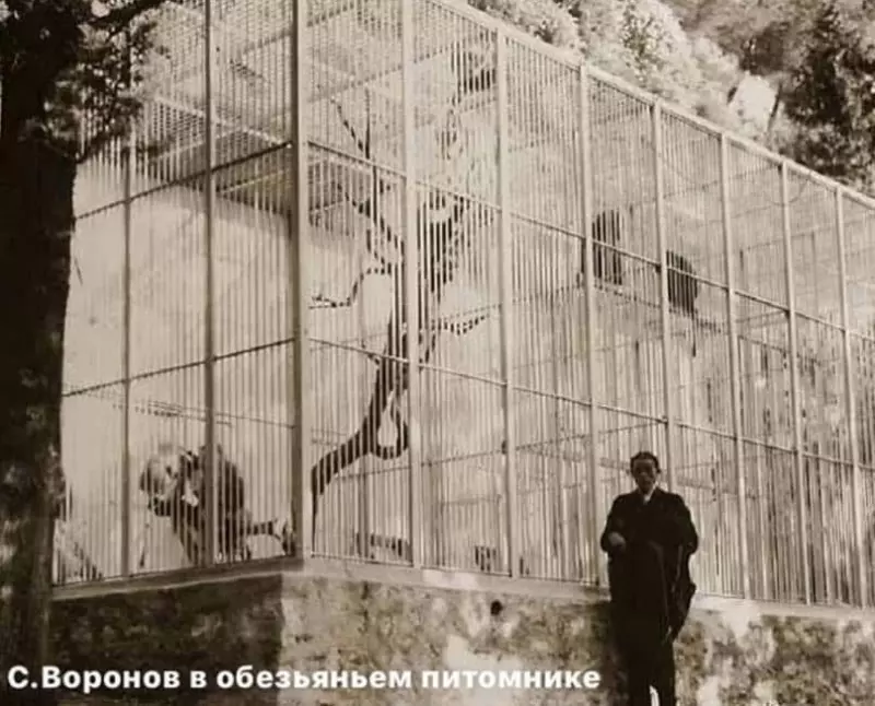 Пусть и не смешно