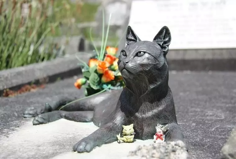 Пусть и не смешно