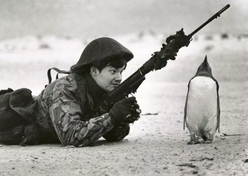 Пусть и не смешно