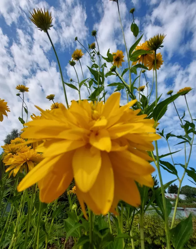 Загородная жизнь - обустройство на земле во всем разнообразии
