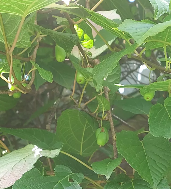 Загородная жизнь - обустройство на земле во всем разнообразии