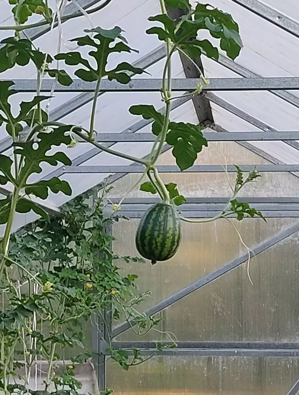 Загородная жизнь - обустройство на земле во всем разнообразии