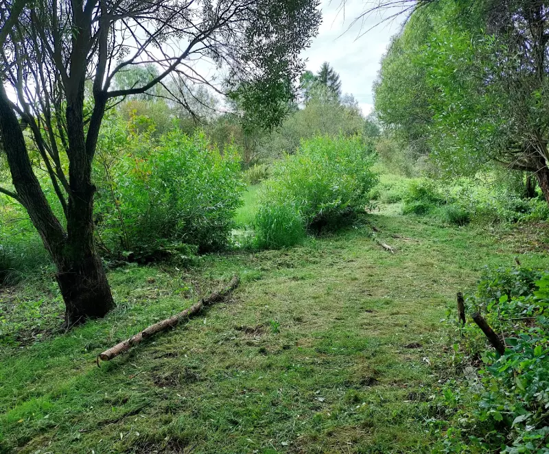 Загородная жизнь - обустройство на земле во всем разнообразии