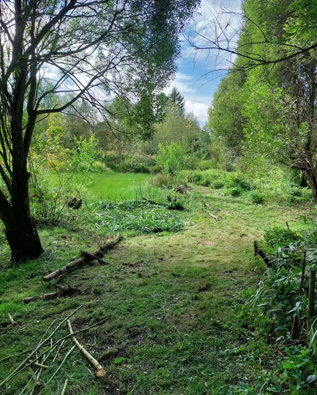 Загородная жизнь - обустройство на земле во всем разнообразии