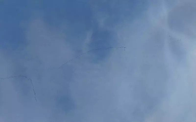 Загородная жизнь - обустройство на земле во всем разнообразии
