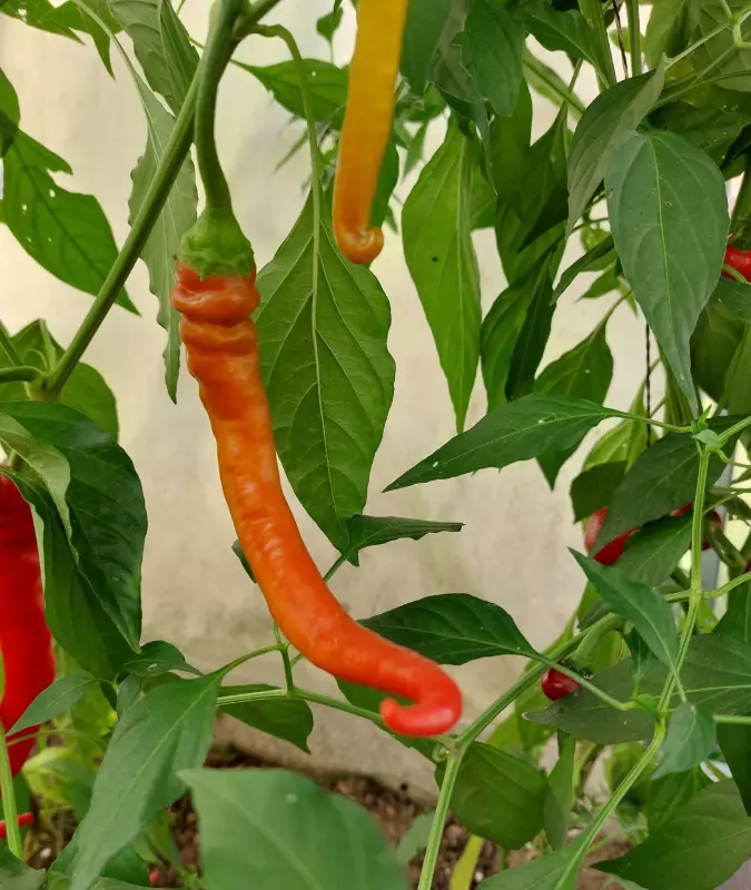 Загородная жизнь - обустройство на земле во всем разнообразии