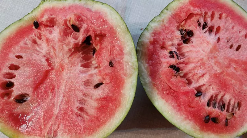 Загородная жизнь - обустройство на земле во всем разнообразии