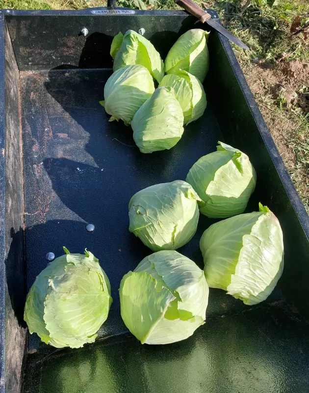 Загородная жизнь - обустройство на земле во всем разнообразии