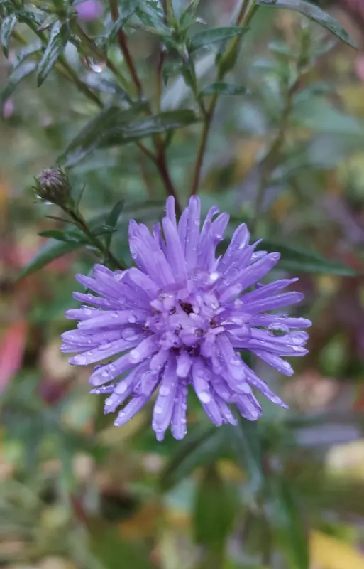 Загородная жизнь - обустройство на земле во всем разнообразии