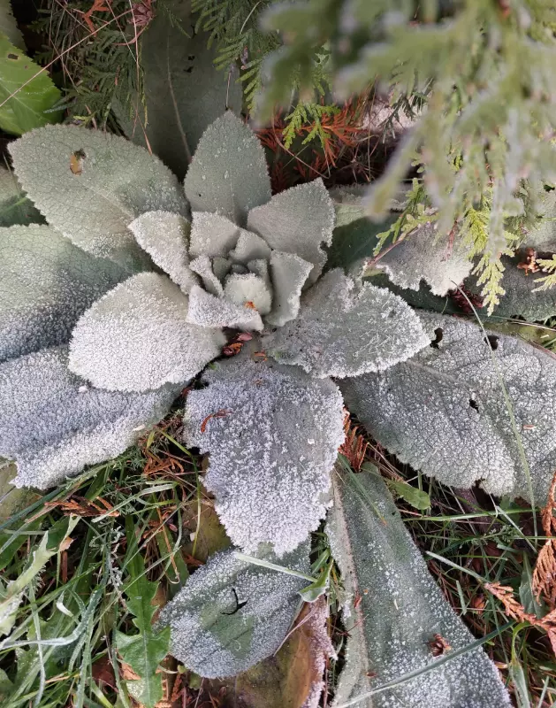 Загородная жизнь - обустройство на земле во всем разнообразии