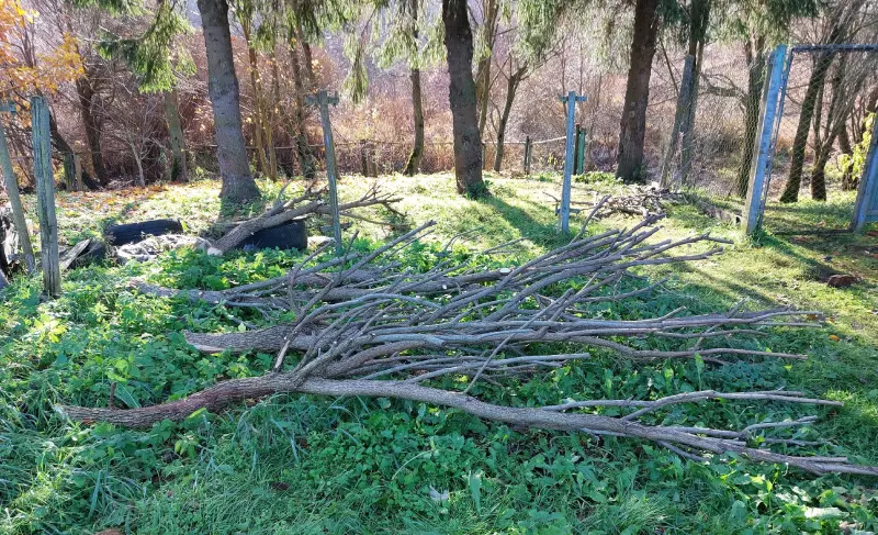 Загородная жизнь - обустройство на земле во всем разнообразии