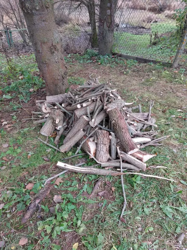 Загородная жизнь - обустройство на земле во всем разнообразии