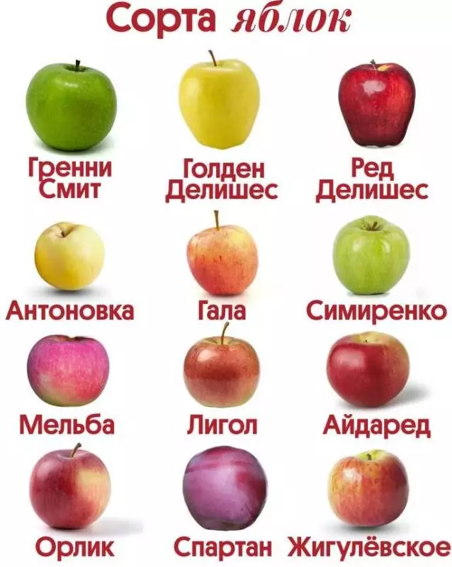 Загородная жизнь - обустройство на земле во всем разнообразии