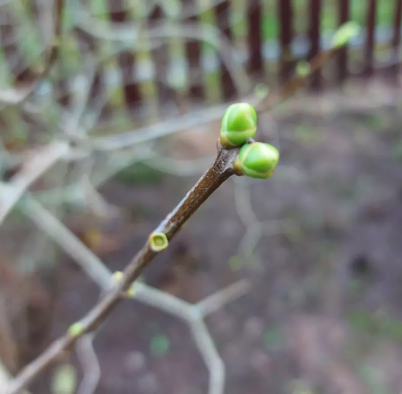 Загородная жизнь - обустройство на земле во всем разнообразии