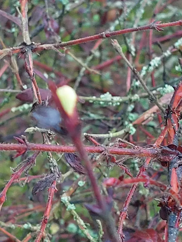 Загородная жизнь - обустройство на земле во всем разнообразии