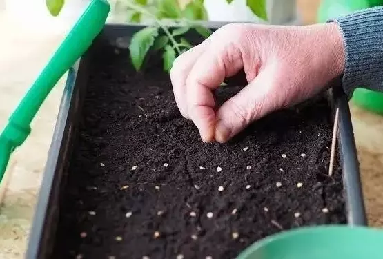 Загородная жизнь - обустройство на земле во всем разнообразии