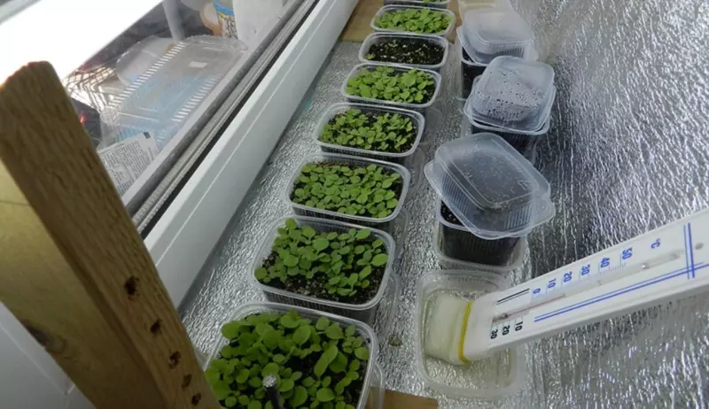 Загородная жизнь - обустройство на земле во всем разнообразии