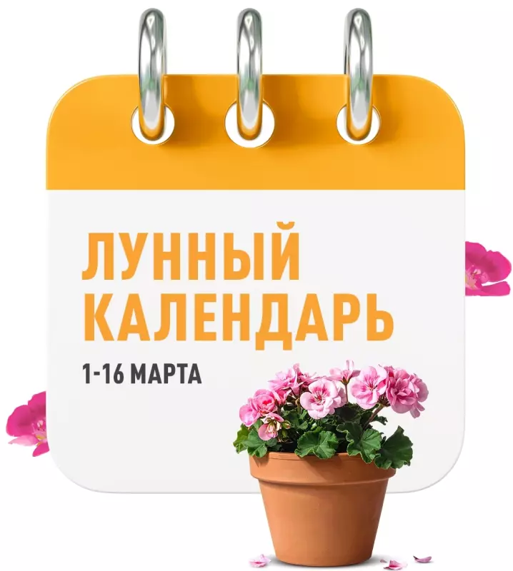 Загородная жизнь - обустройство на земле во всем разнообразии