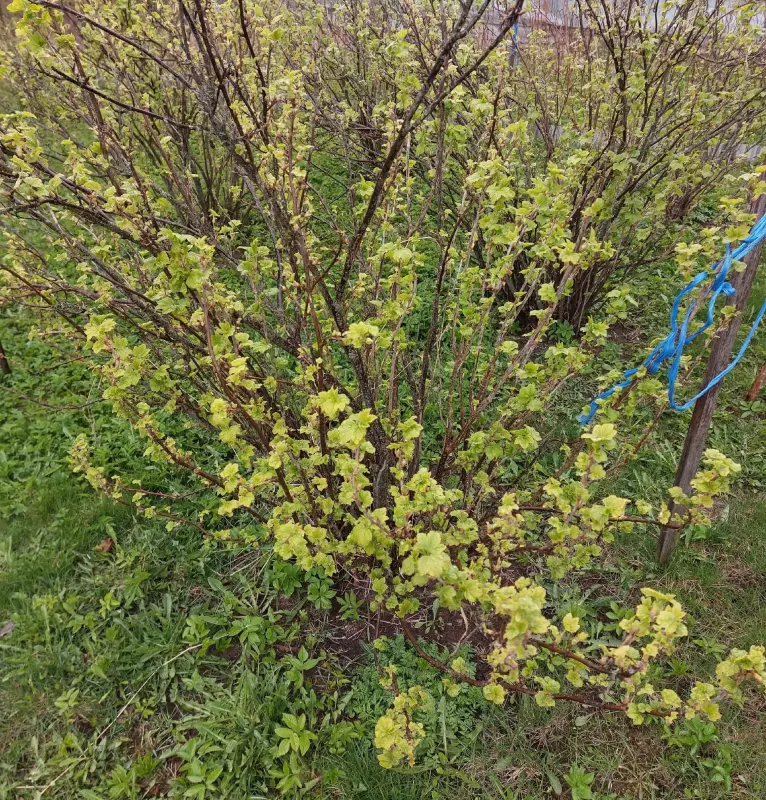 Загородная жизнь - обустройство на земле во всем разнообразии