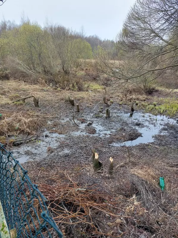 Загородная жизнь - обустройство на земле во всем разнообразии