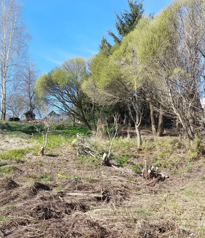 Загородная жизнь - обустройство на земле во всем разнообразии