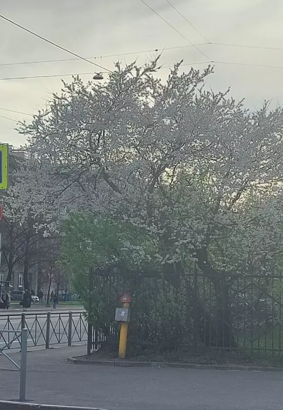 Загородная жизнь - обустройство на земле во всем разнообразии