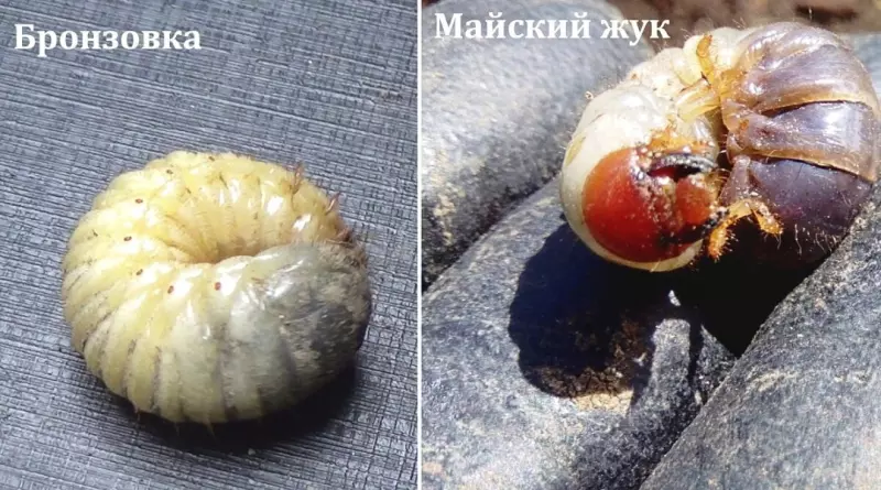 Загородная жизнь - обустройство на земле во всем разнообразии