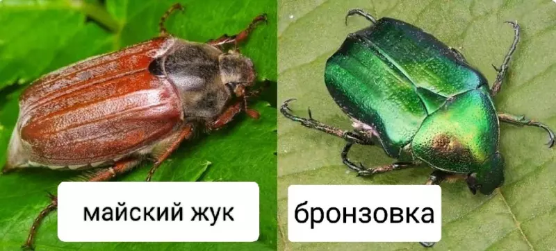 Загородная жизнь - обустройство на земле во всем разнообразии