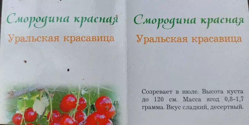 Загородная жизнь - обустройство на земле во всем разнообразии