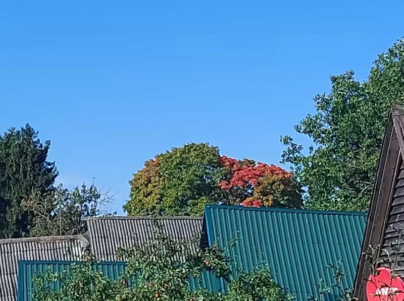 Загородная жизнь - обустройство на земле во всем разнообразии