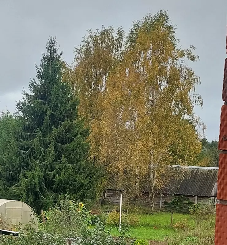 Загородная жизнь - обустройство на земле во всем разнообразии