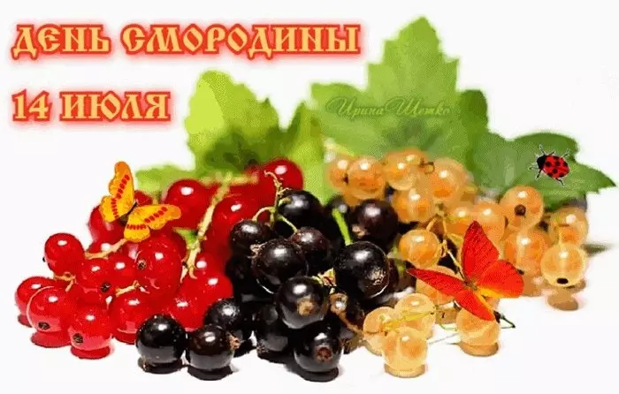 Загородная жизнь - обустройство на земле во всем разнообразии