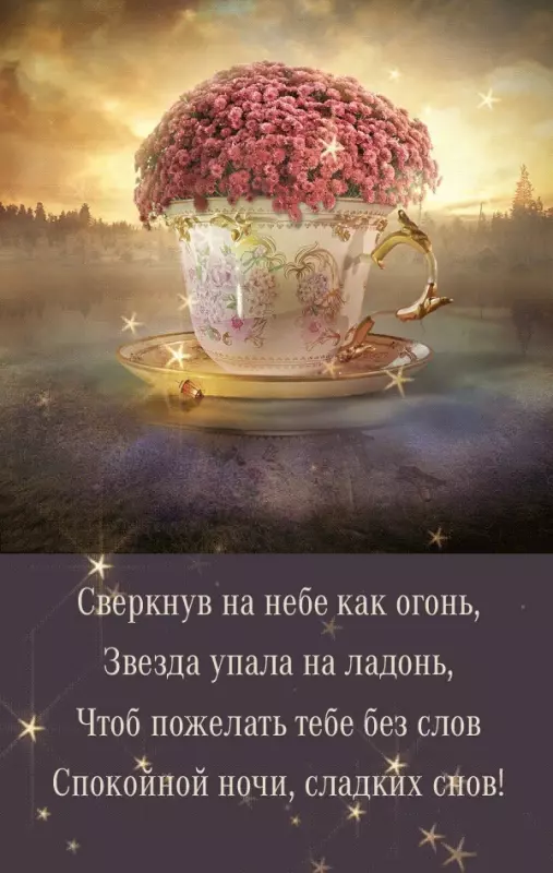 Кафе "У пани Сони"