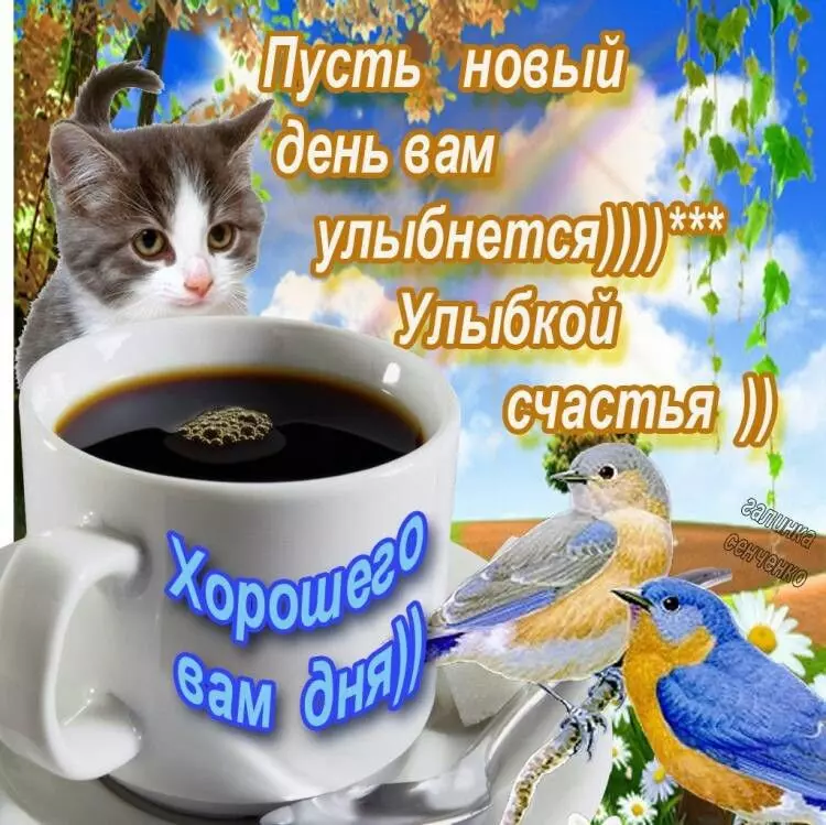 Кафе "У пани Сони"