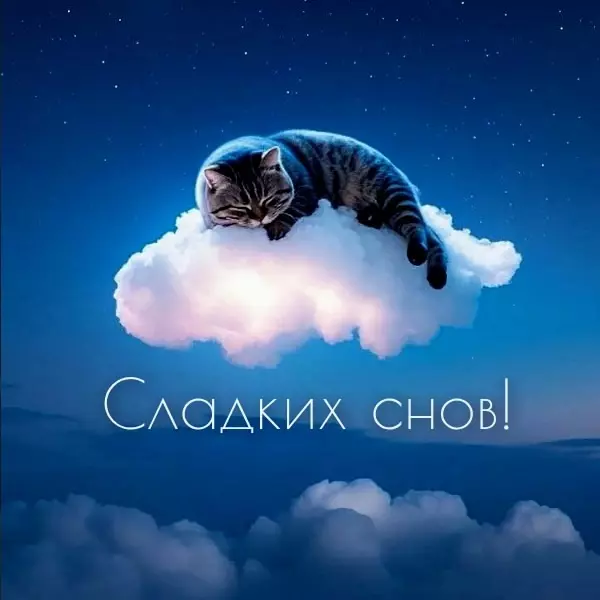 Кафе "У пани Сони"