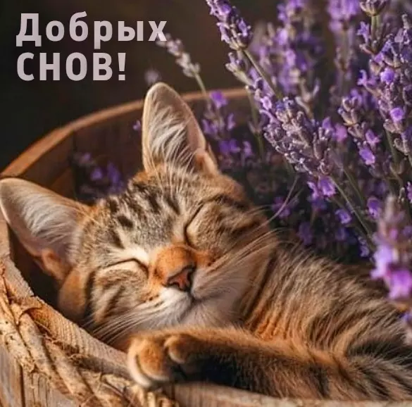Кафе "У пани Сони"