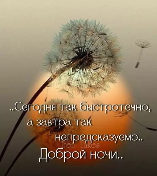 Кафе "У пани Сони"