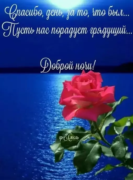 Кафе "У пани Сони"