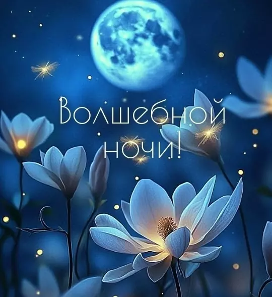 Кафе "У пани Сони"
