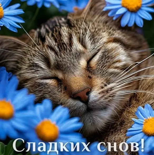 Кафе "У пани Сони"