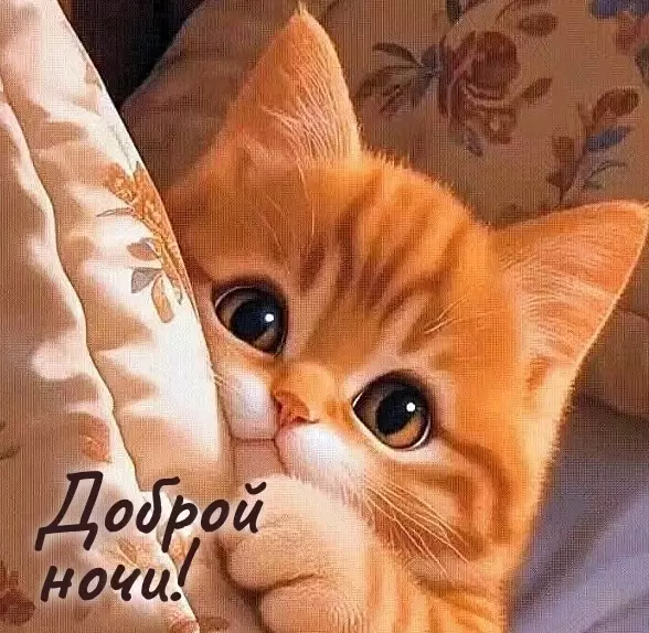 Кафе "У пани Сони"